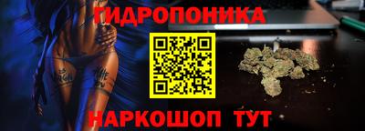 стаф Лесосибирск