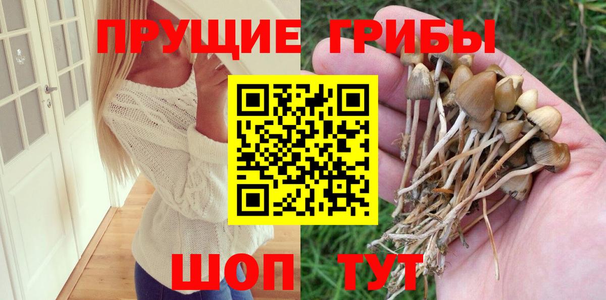 Галлюциногенные грибы Psilocybine cubensis  Вход с VPN  Владимир 